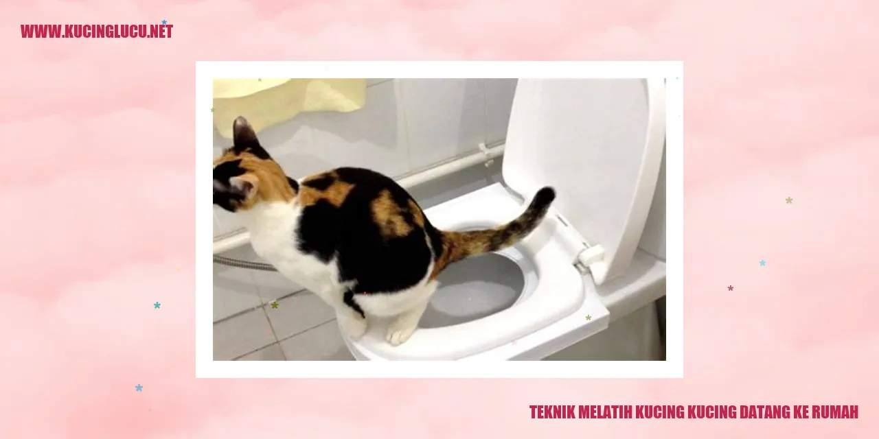 Gambar Teknik Membina Kucing