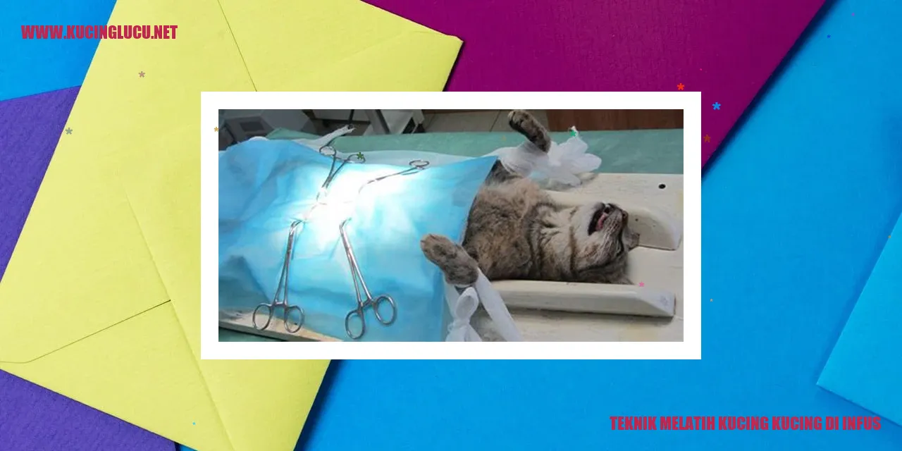 Melatih Kucing di Infus