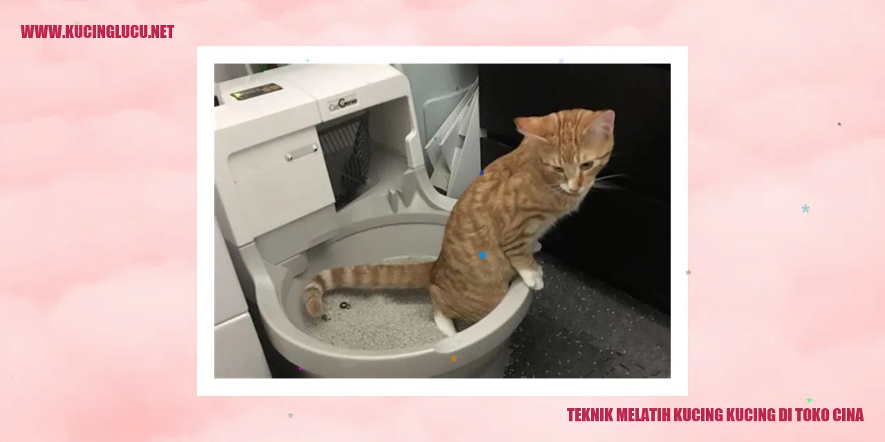Teknik Melatih Kucing
