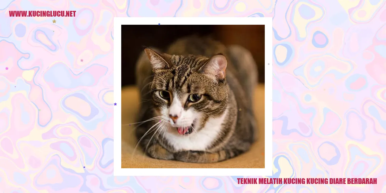 Kucing yang Mengalami Diare Berdarah