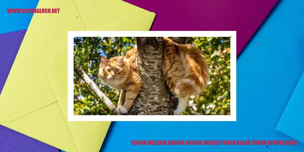 Kucing di atas pohon