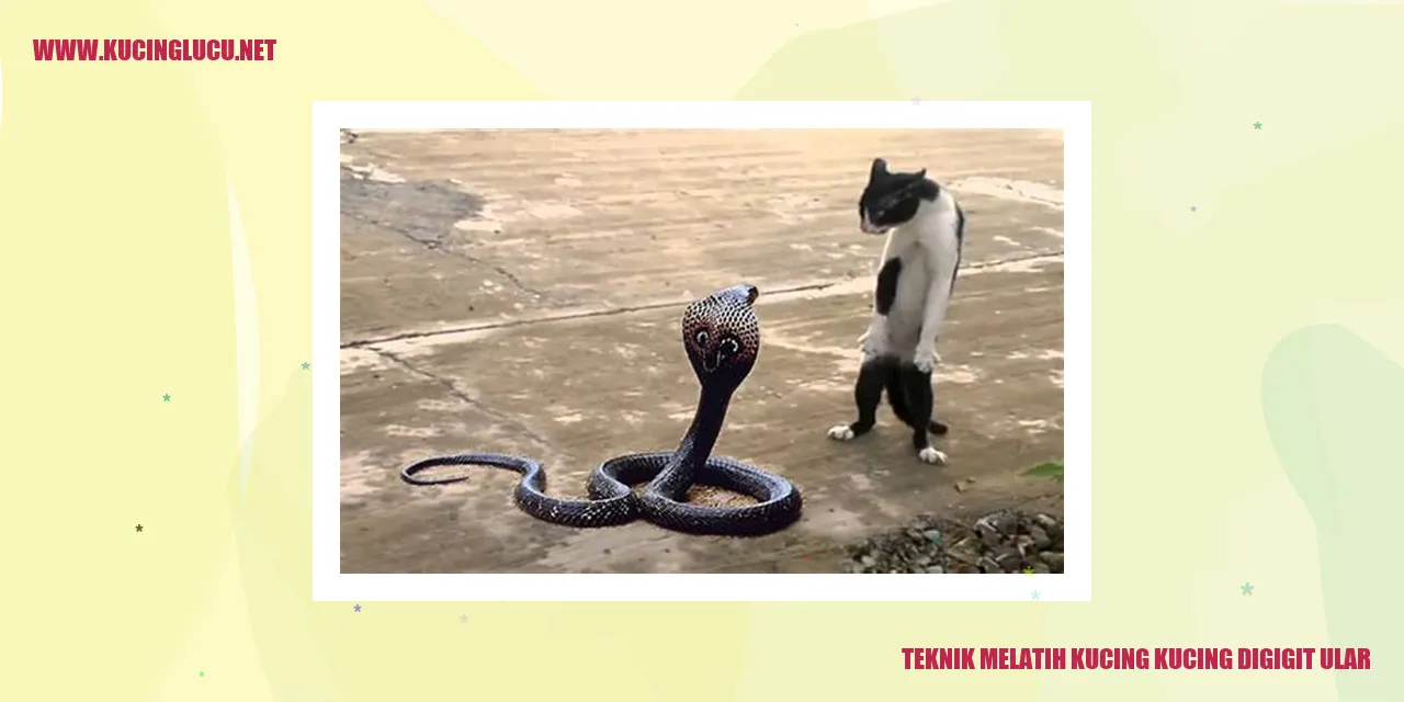 Kucing setelah digigit ular