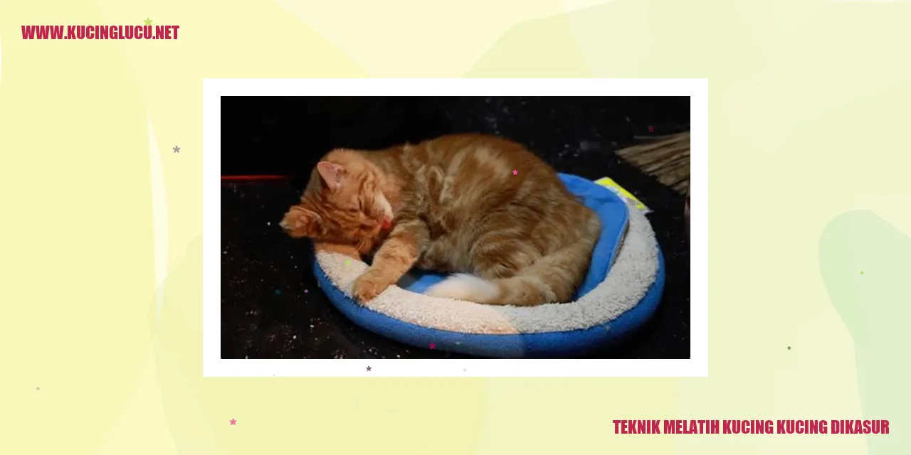Kucing di atas kasur