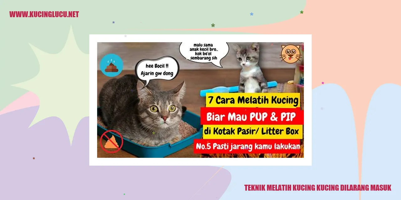 Teknik Melatih Kucing