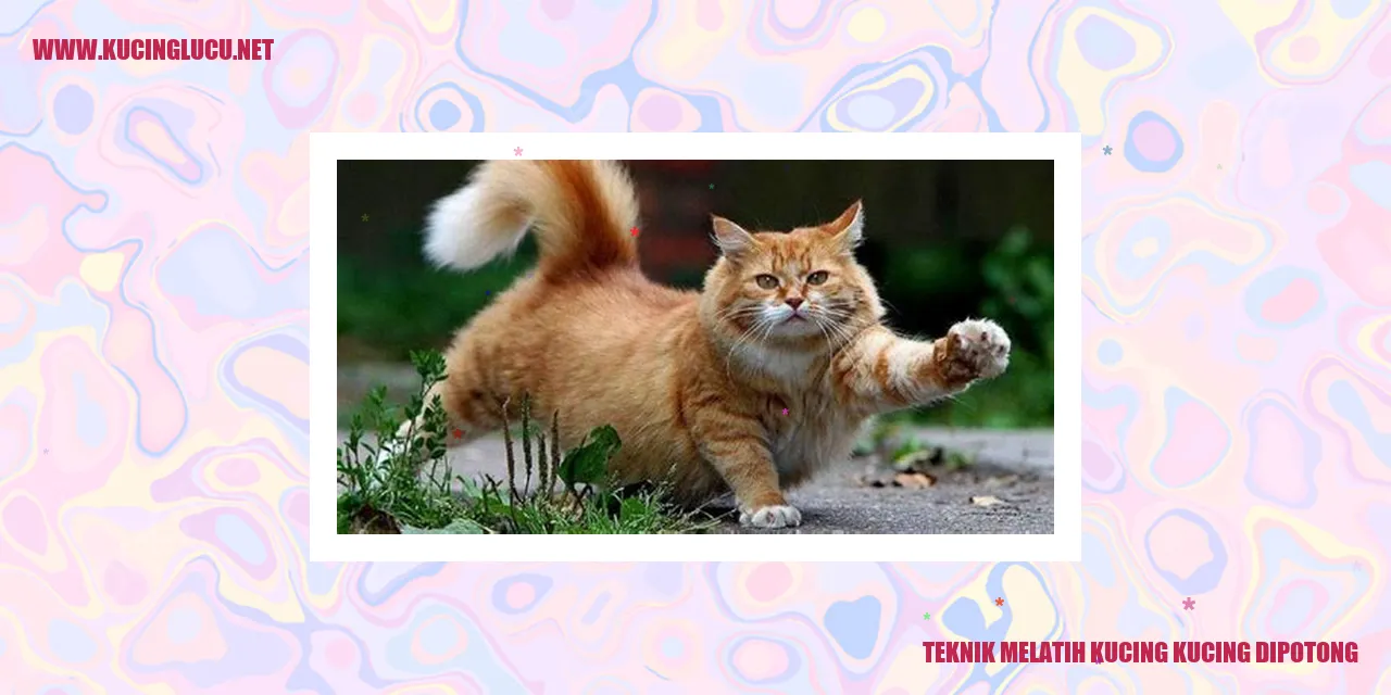 Gambar Kucing yang Menggemaskan