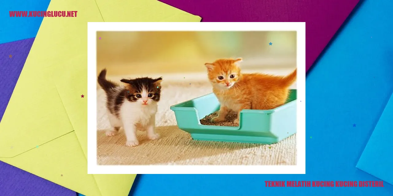 Teknik Melatih Kucing Untuk Disterilisasi