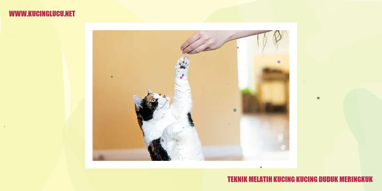 Kucing duduk meringkuk