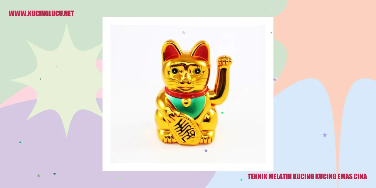 Latihan Kucing Emas Cina