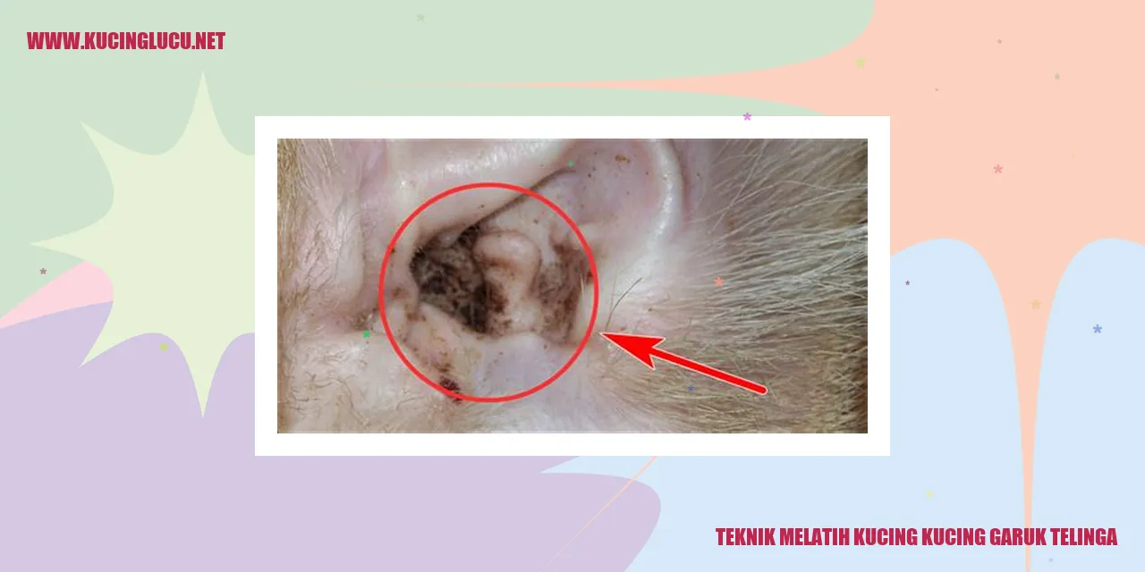 Seekor kucing yang sedang merawat telinganya