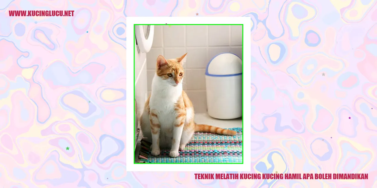 Kucing Hamil