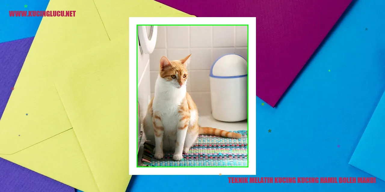 Teknik Melatih Kucing