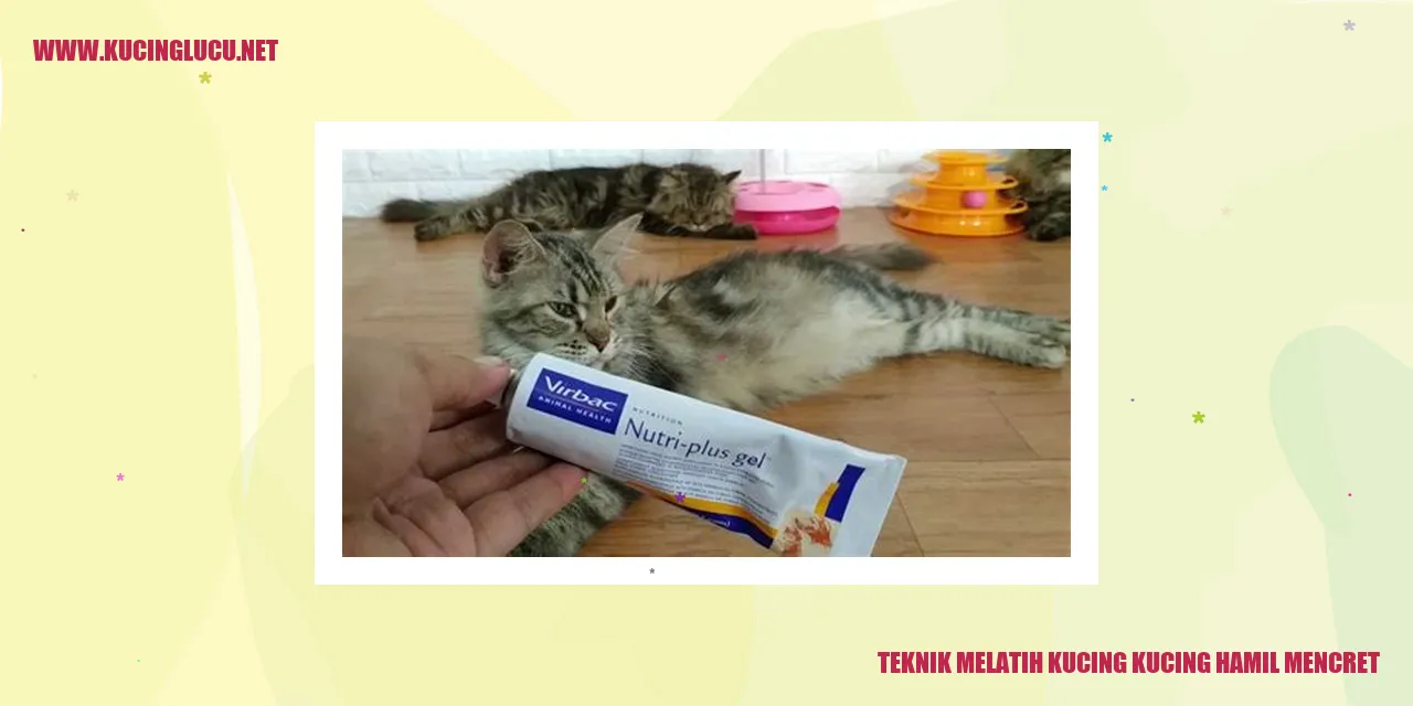 Gambar kucing