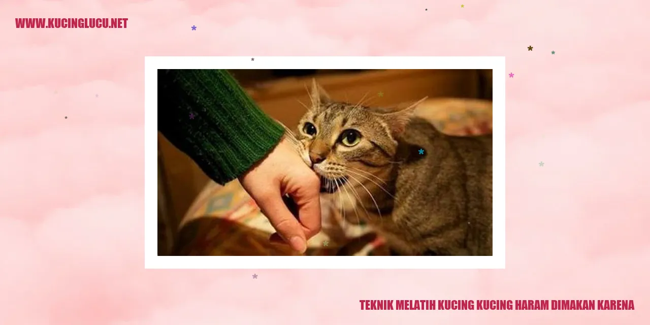 Gambar Kucing