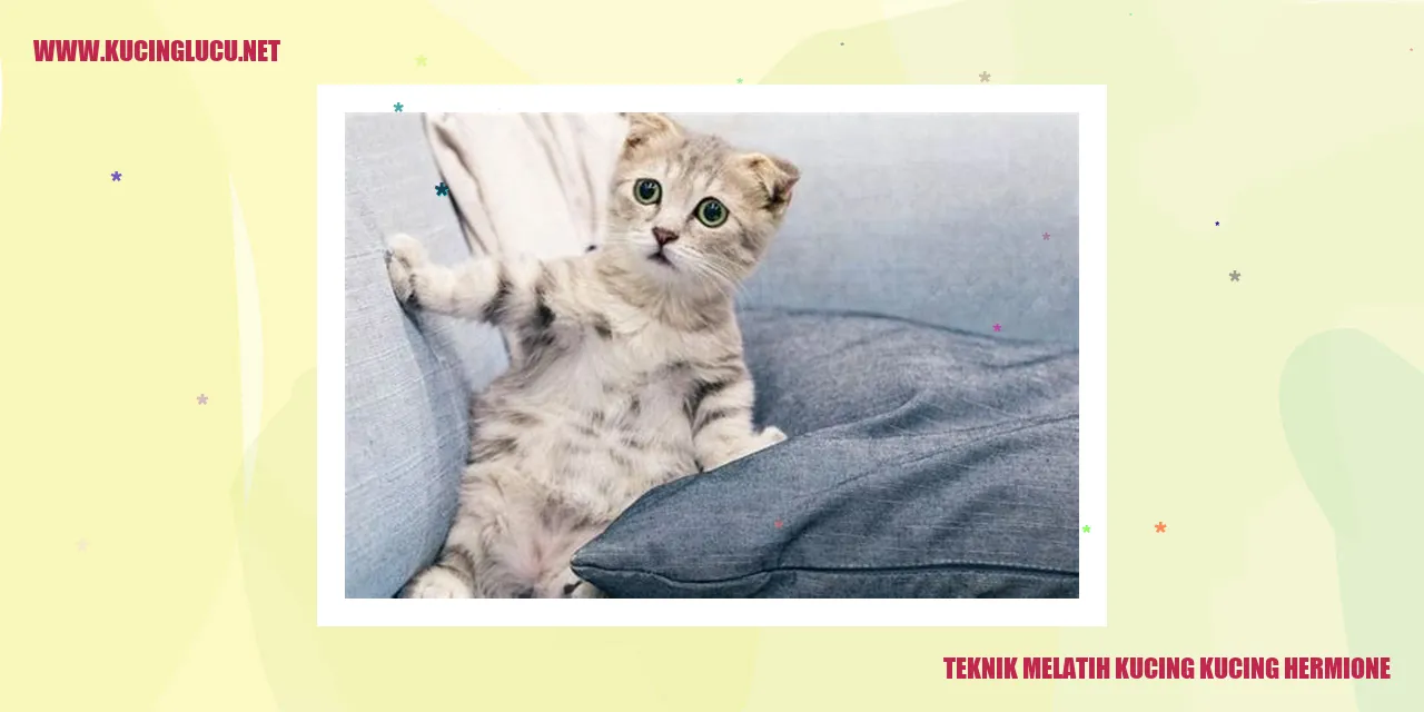 Kucing Hermione