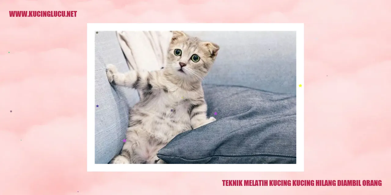 Kucing di dalam rumah