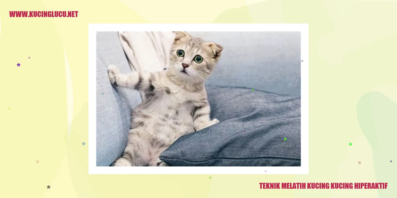 Melatih Kucing Kekinian yang Super Aktif