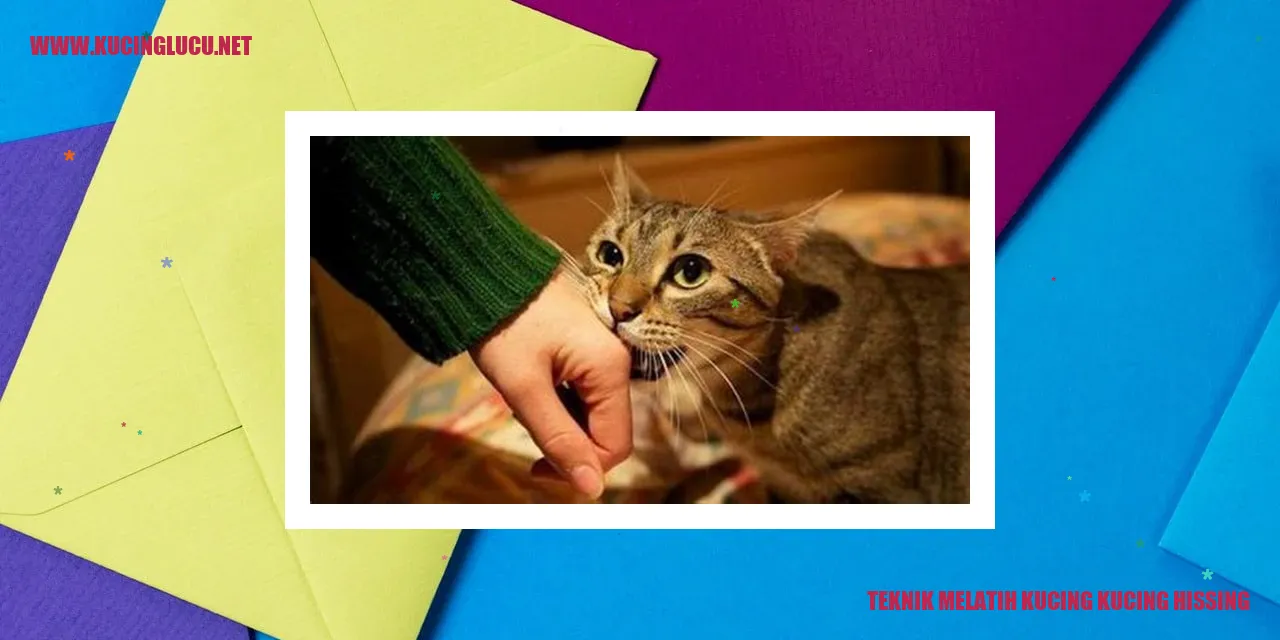 Teknik Melatih Kucing kucing hissing