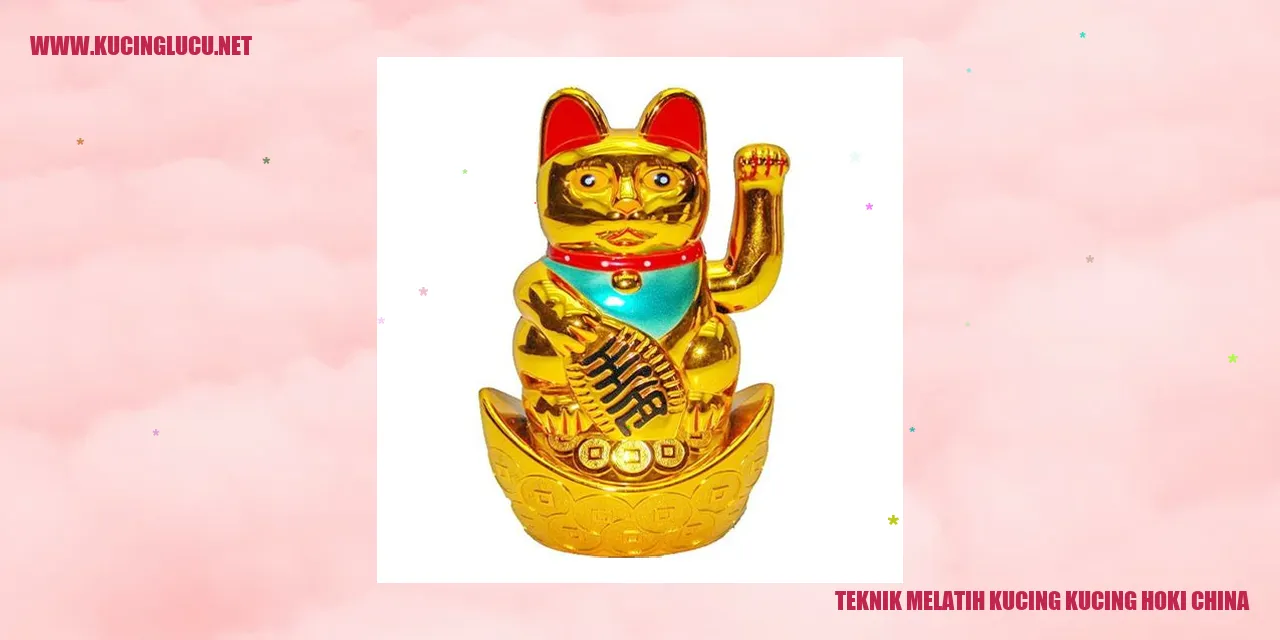 Kucing Hoki China