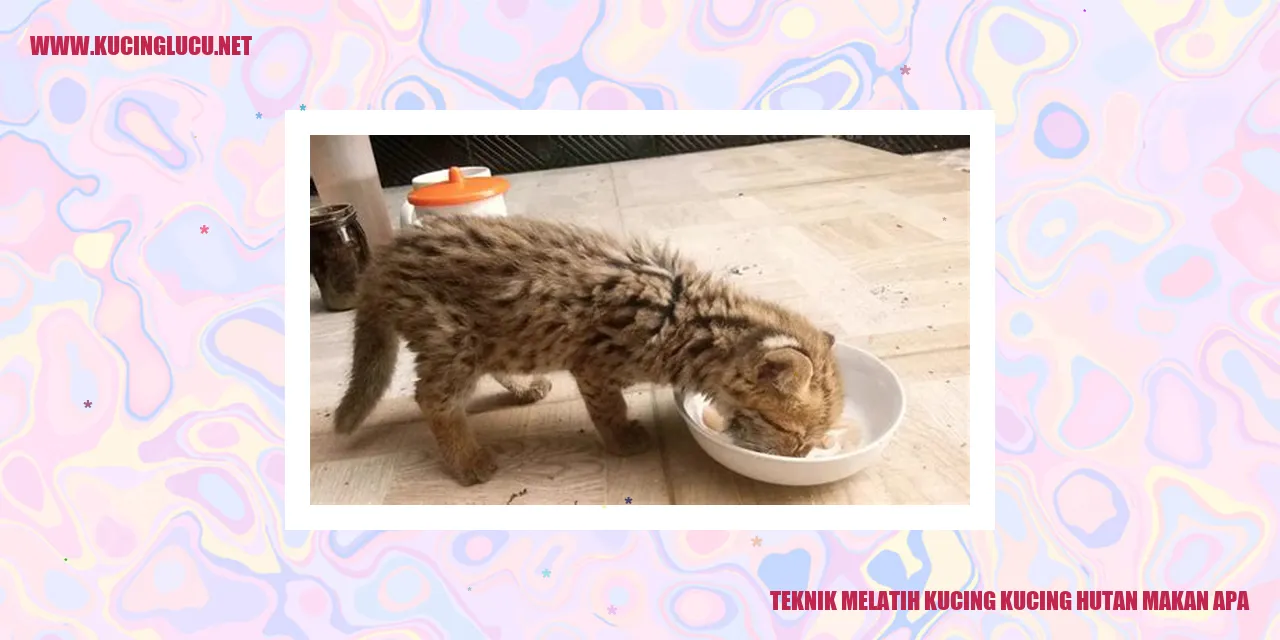 Gambar Kucing Hutan