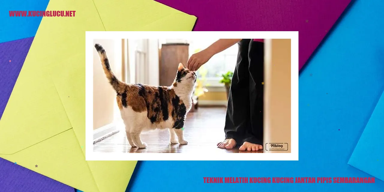 Teknik Melatih Kucing kucing jantan pipis sembarangan