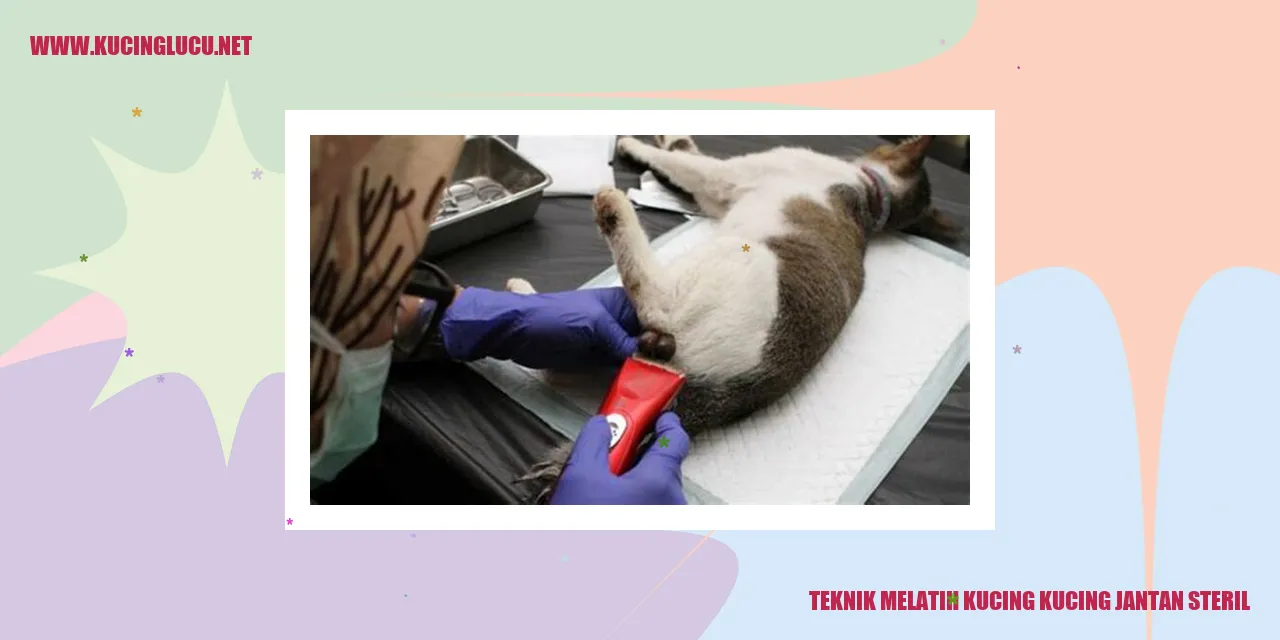 Kucing Jantan Steril