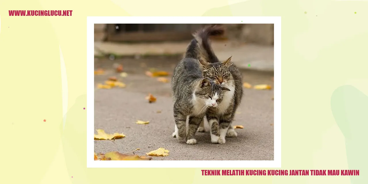 Gambar Kucing Jantan Tidak Mau Kawin