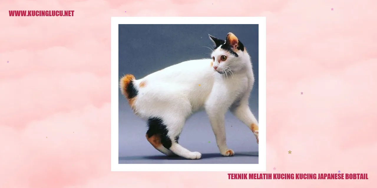 Kucing Japanese Bobtail