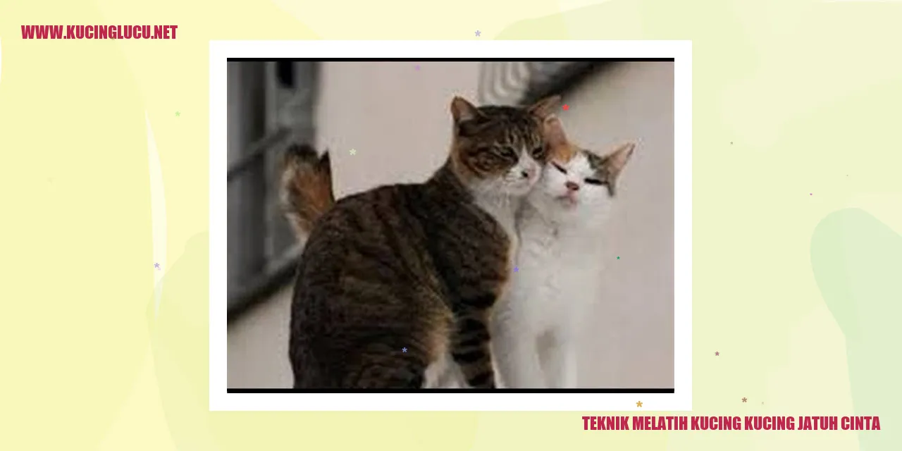 Teknik Melatih Kucing jatuh cinta
