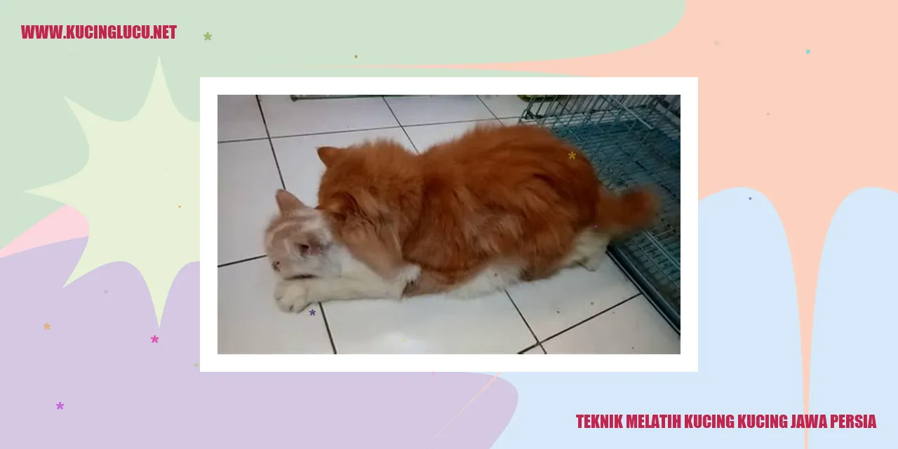 Gambar Kucing Jawa Persia