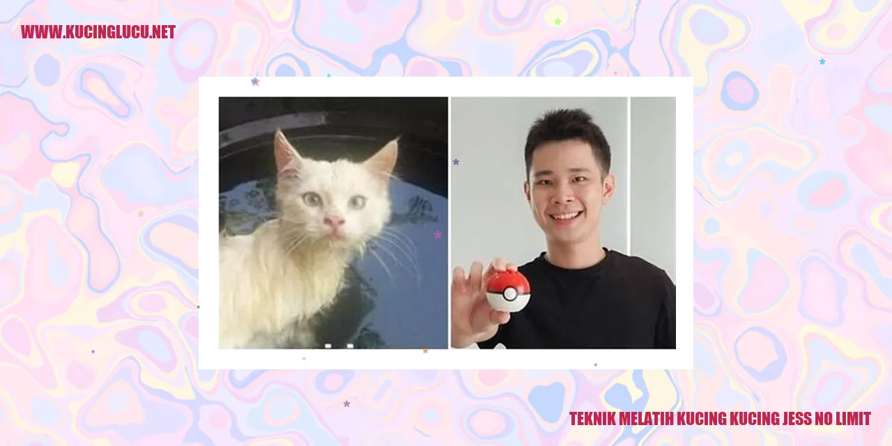 Kucing Jess No Limit