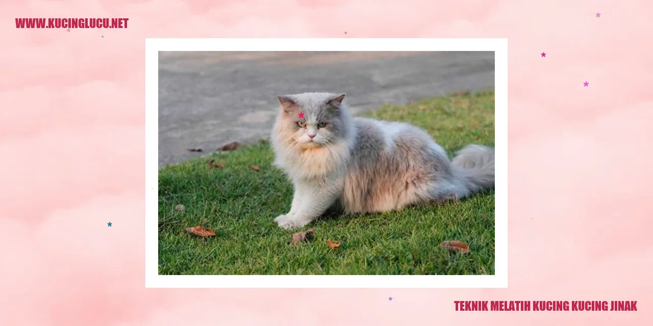 Kucing Jinak