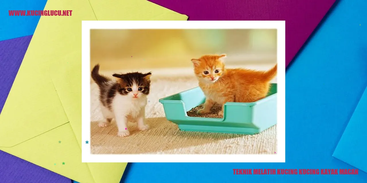 Kucing seperti Macan