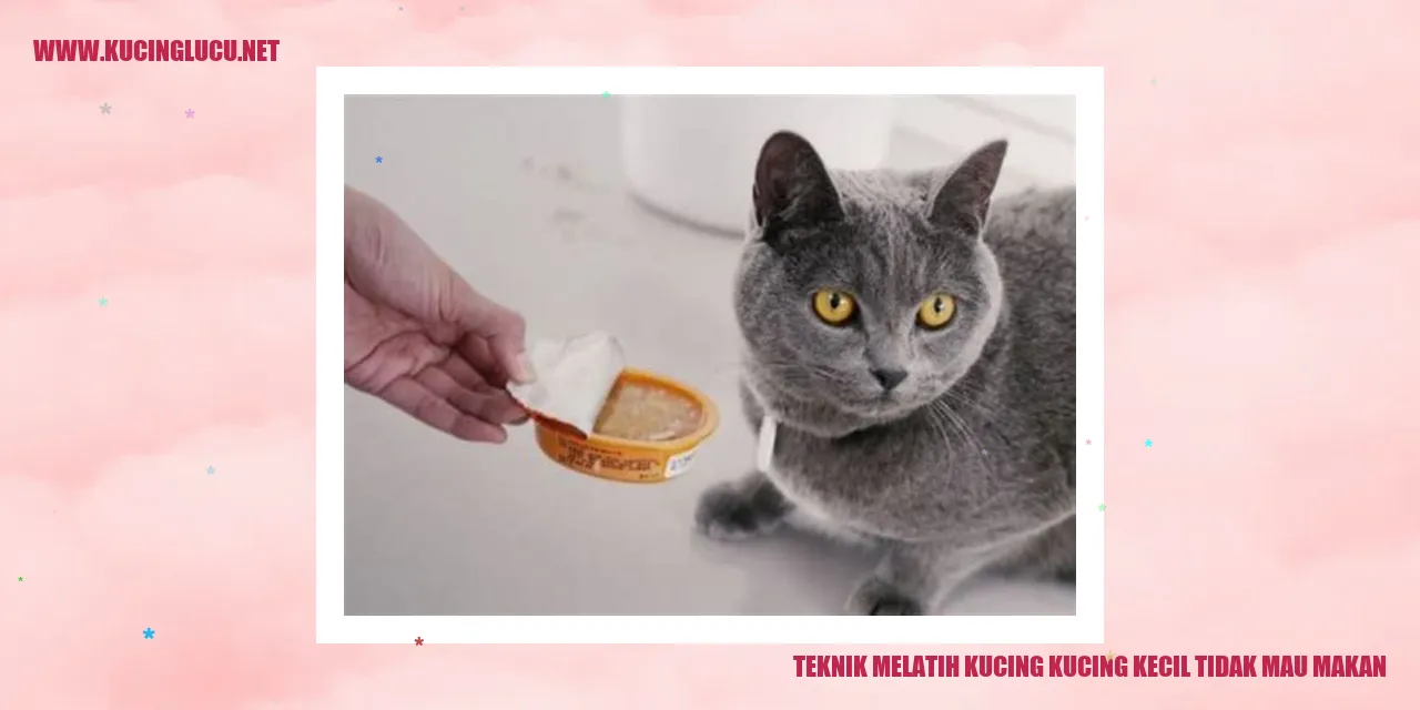Teknik Mengajarkan Kucing Kecil yang Enggan Makan