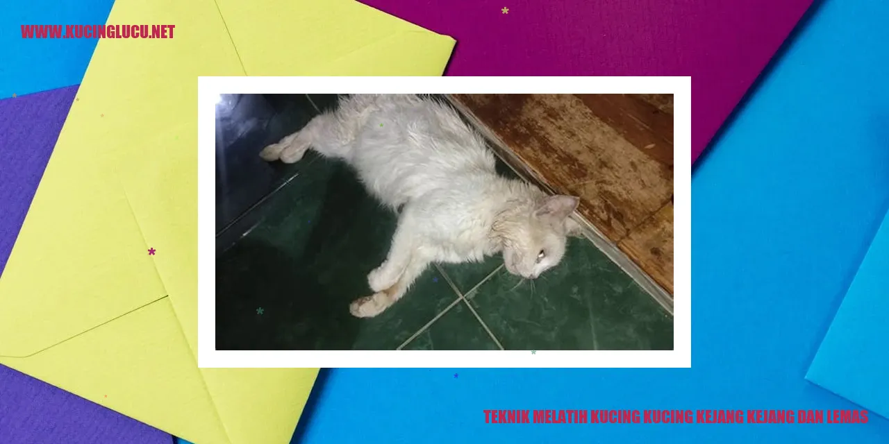 Kucing yang Mengalami Kegelisahan dan Kelelahan