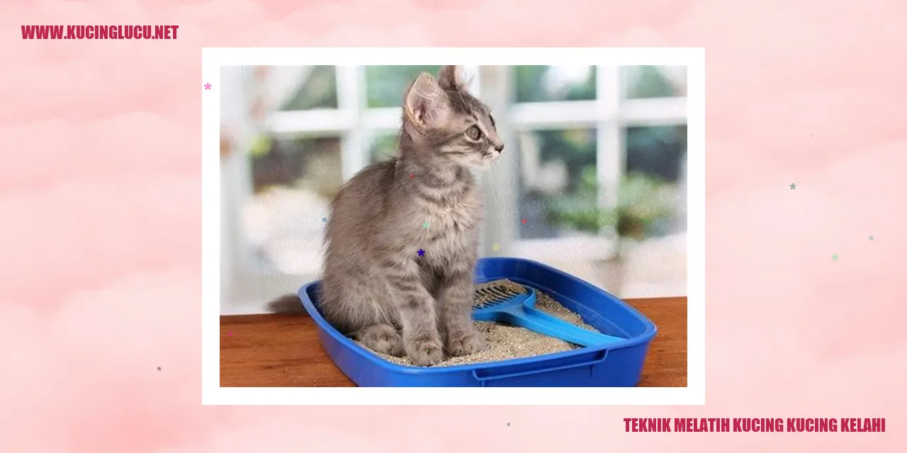 Teknik Melatih Kucing agar Tidak Bertengkar