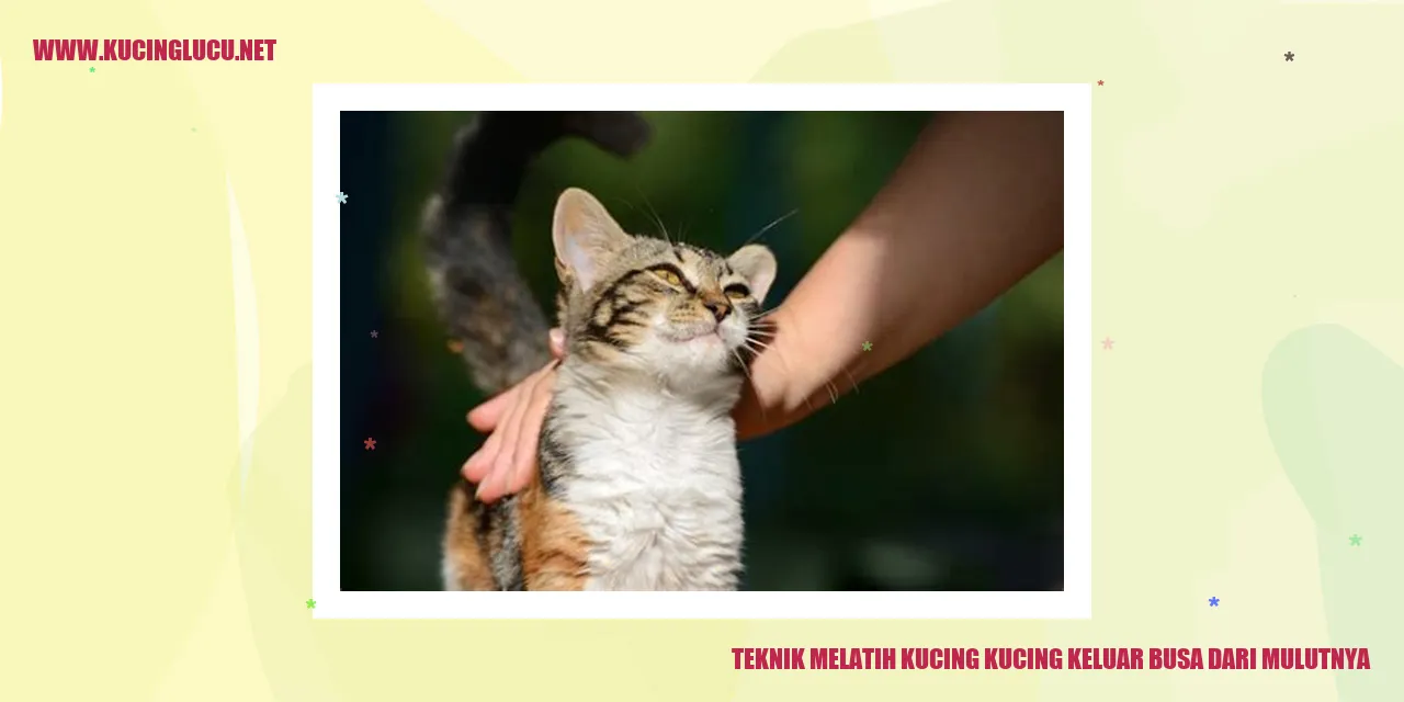 Gambar Kucing Keluar Busa