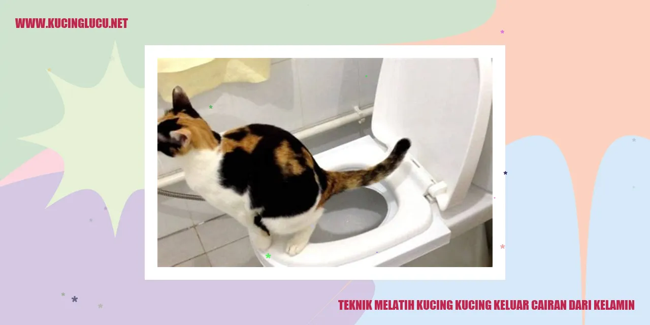 Kucing