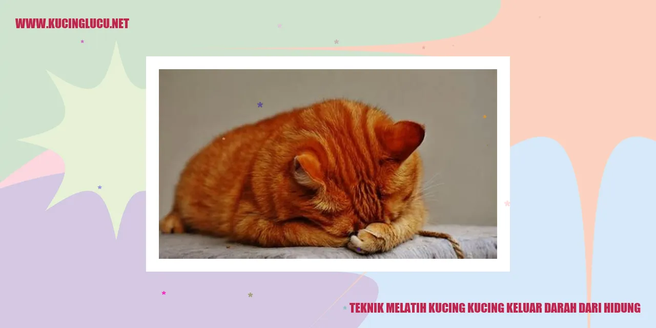 Gambar kucing sehat