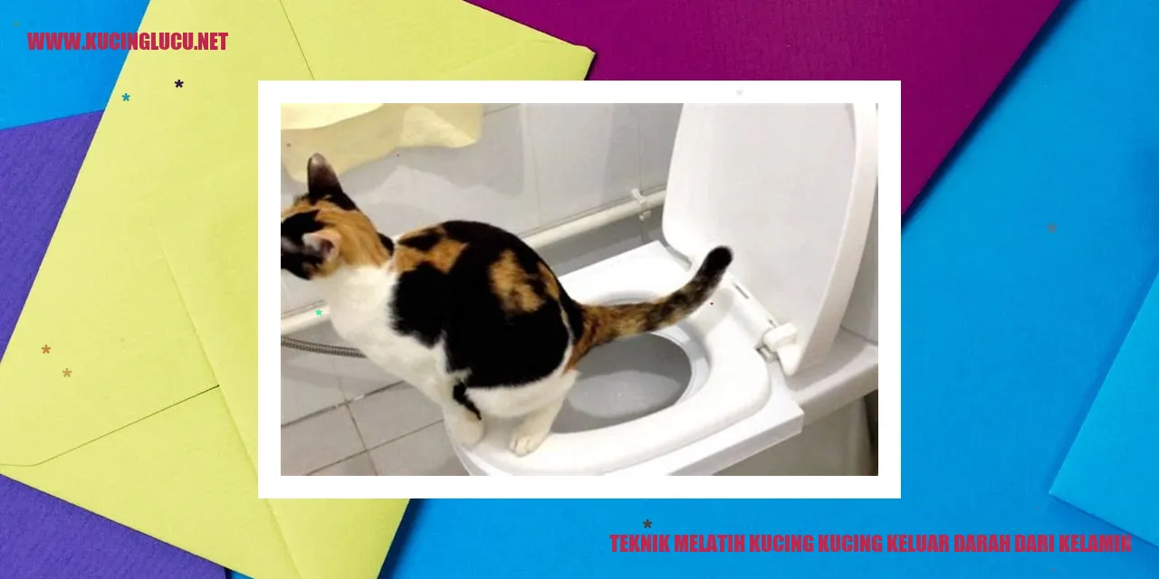gambar kucing yang sehat