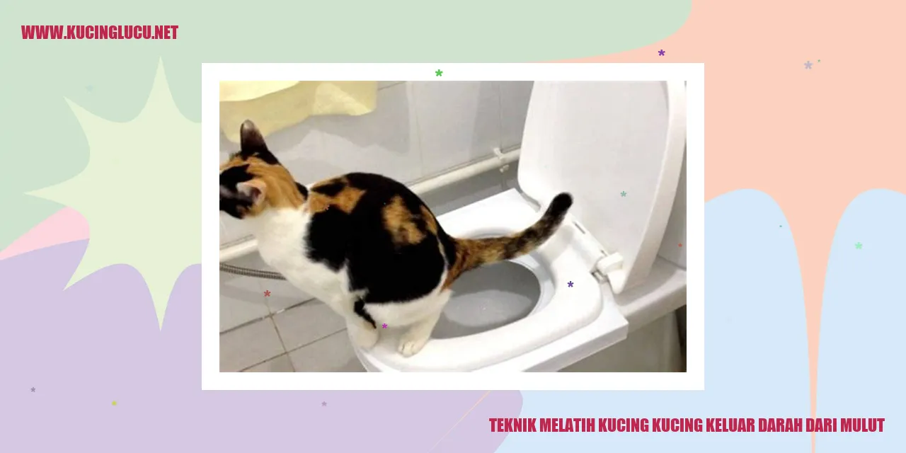 Kucing dengan darah keluar dari mulut