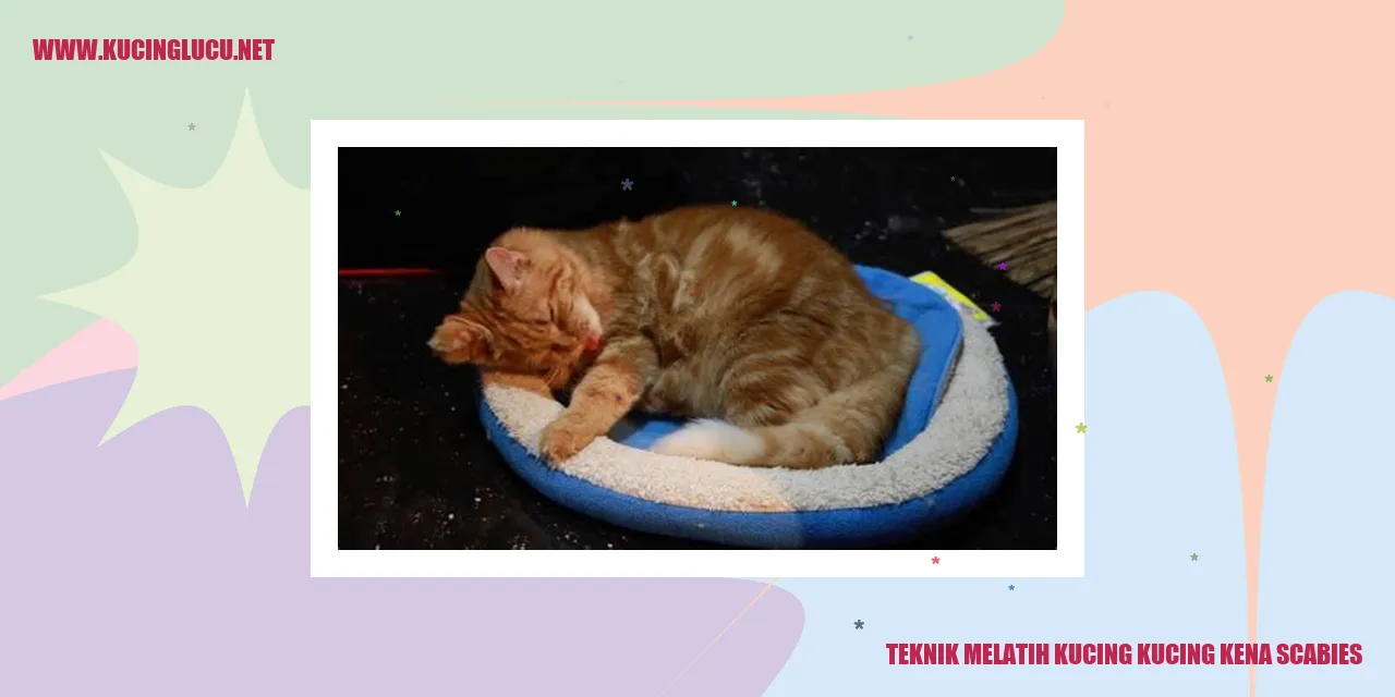Gambar Kucing Mengidap Scabies