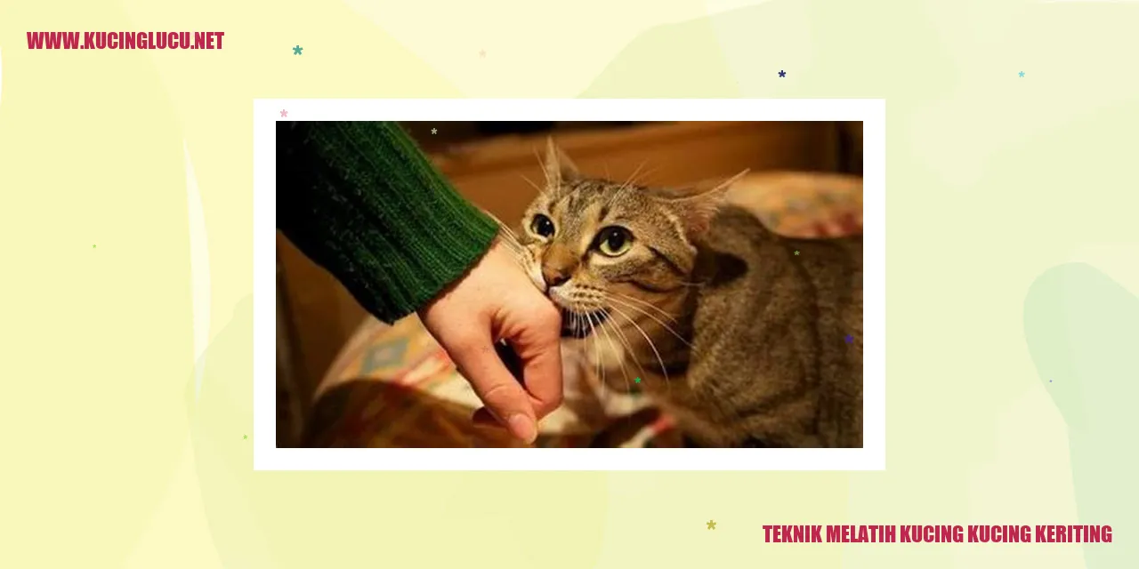 Gambar Kucing Keriting