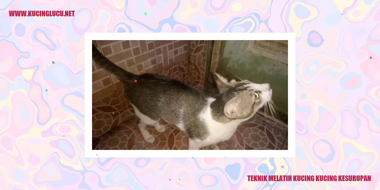 Kucing kesurupan