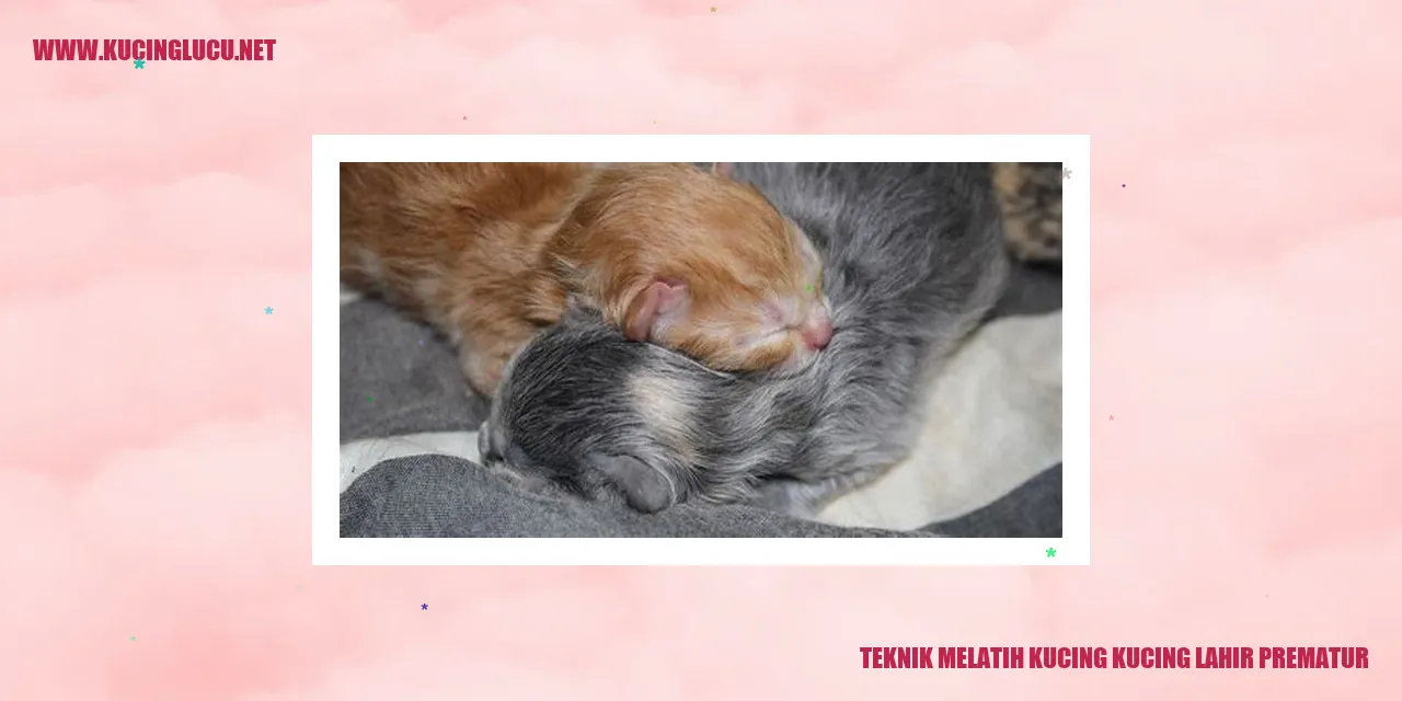Kucing Prematur