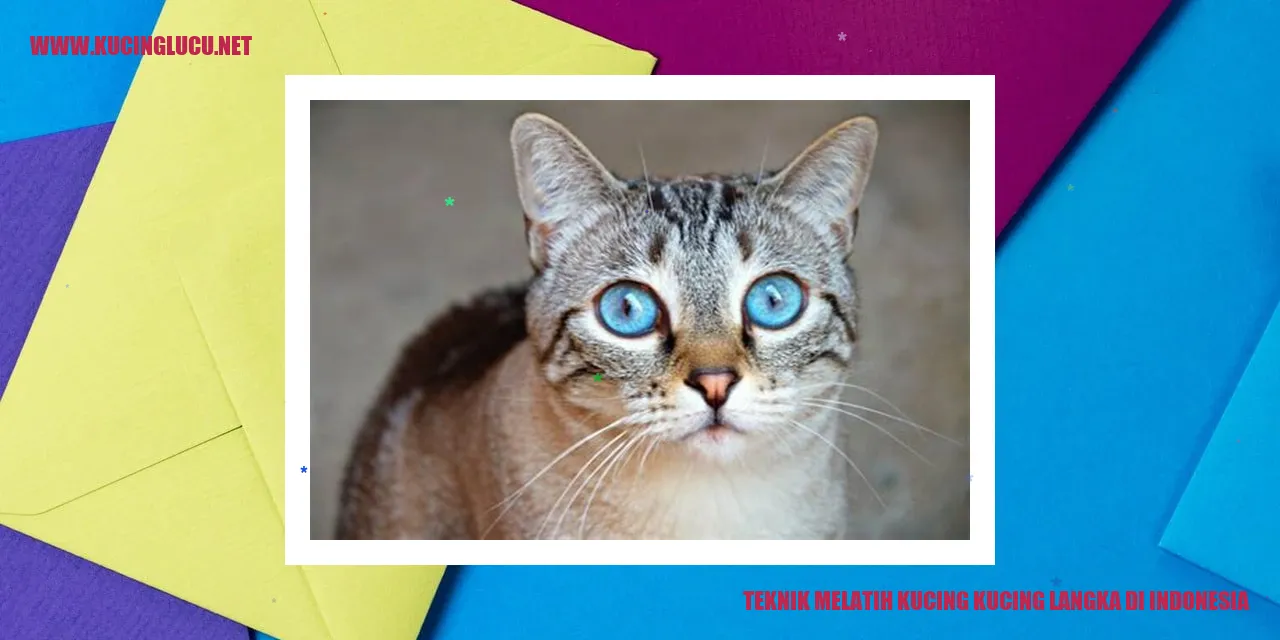Teknik Melatih Kucing-kucing Langka di Indonesia