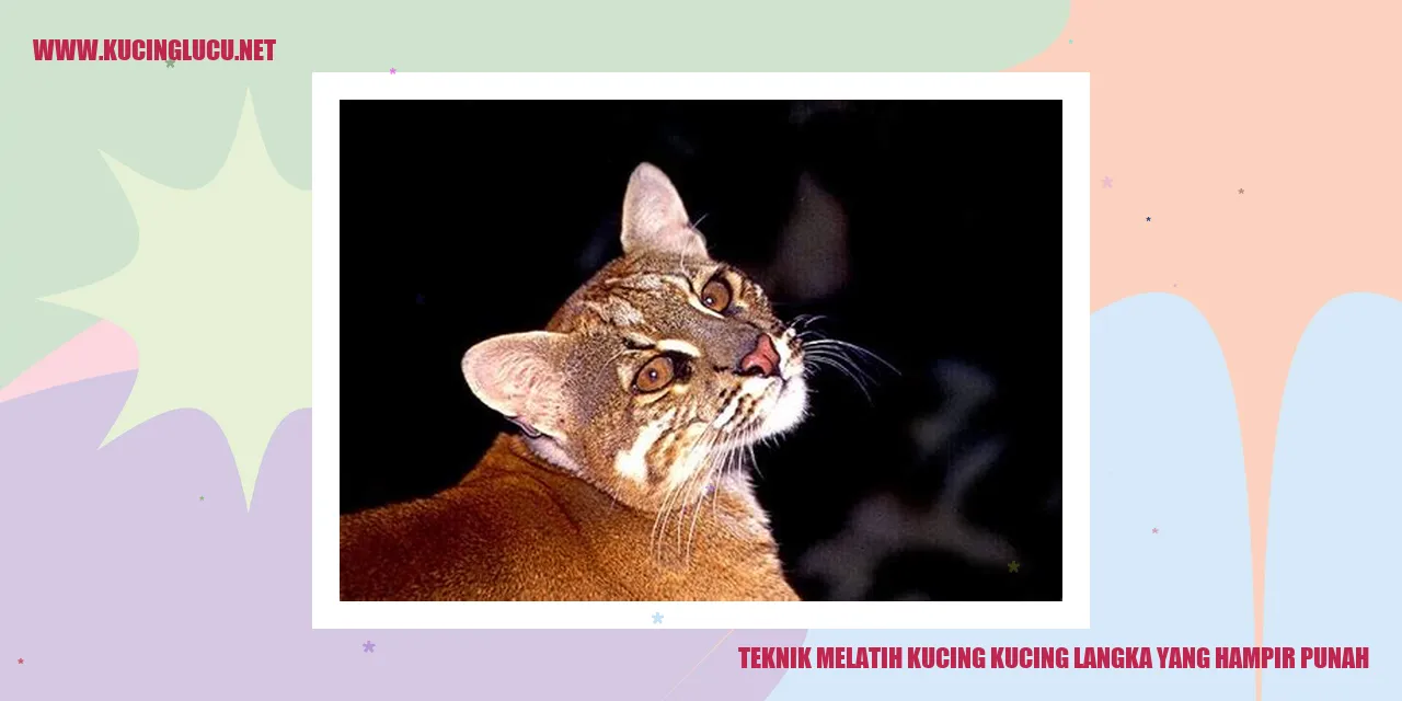 Ilustrasi Kucing Langka