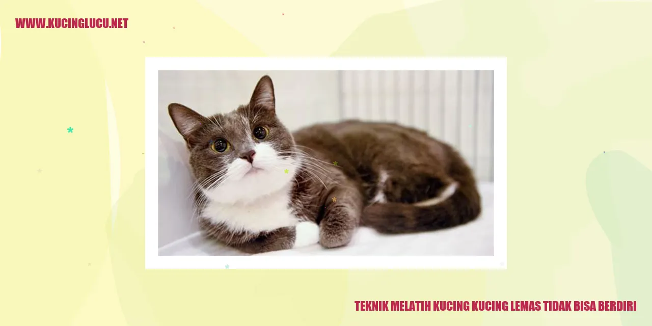 Teknik Melatih Kucing kucing lemas tidak bisa berdiri