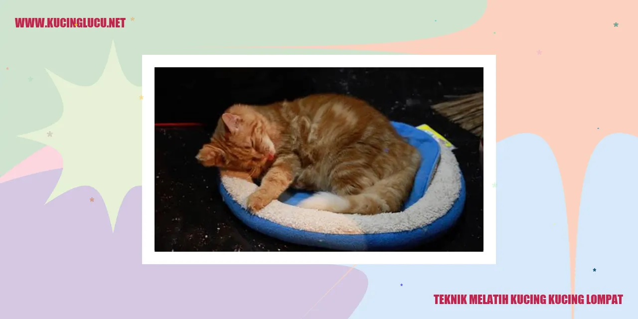 Gambar kucing melompat