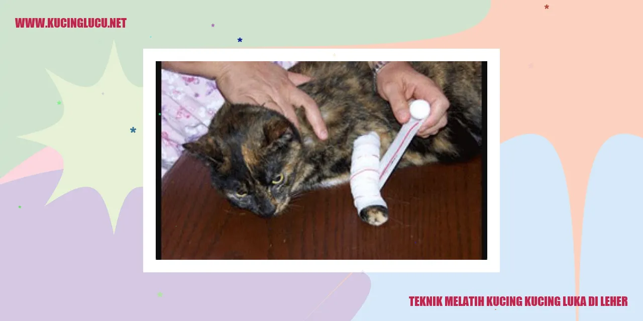 Gambar Kucing dengan Luka di Leher