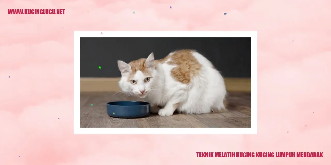 Mengatasi Kucing Kelumpuhan Mendadak